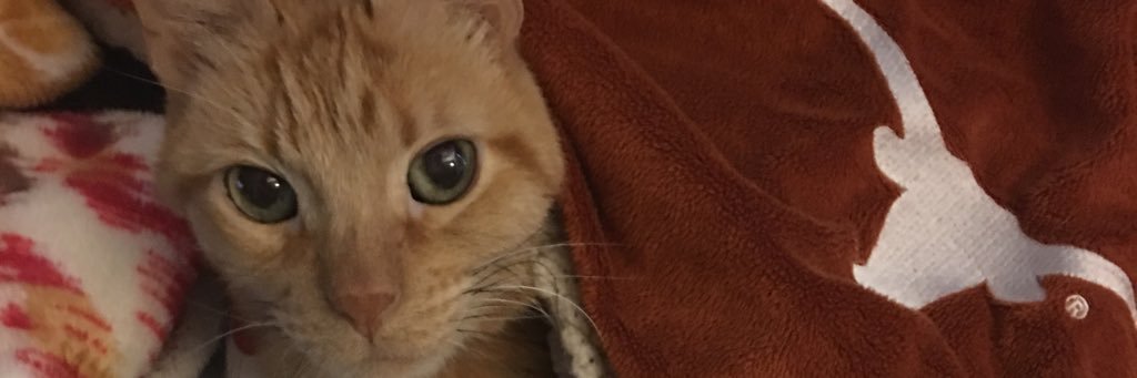 Lo_Lo1321's profile banner image