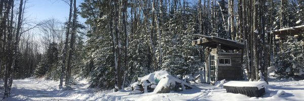 savstei Profile Banner