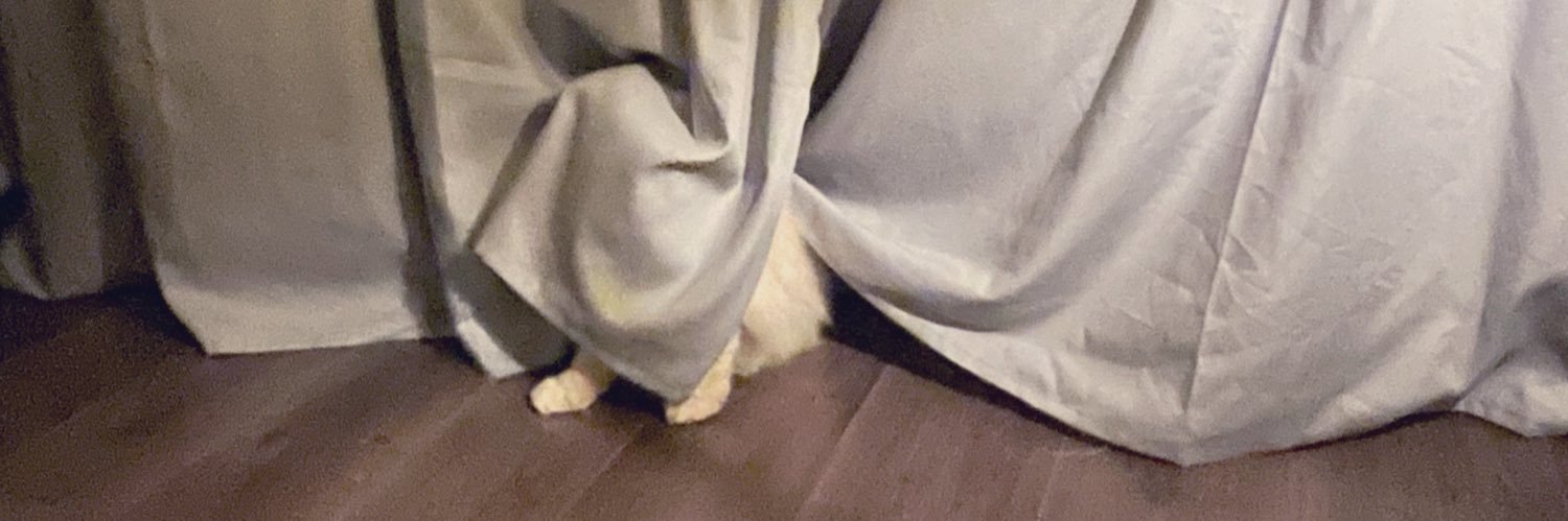 Meredith Greer banner