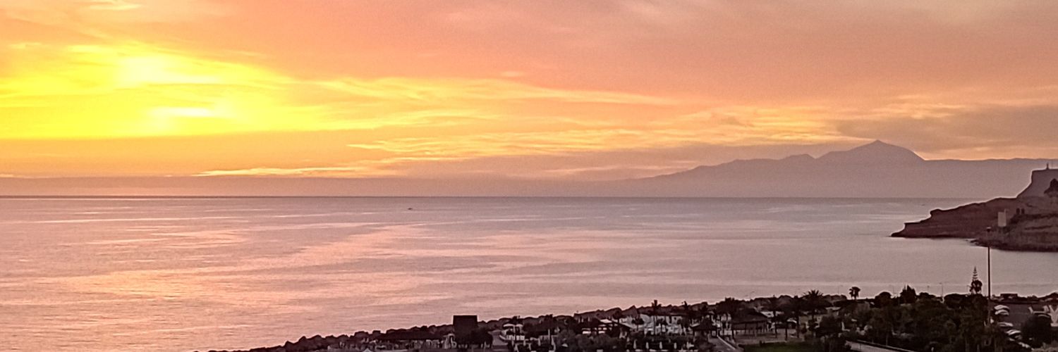 #CallmeTerrie banner