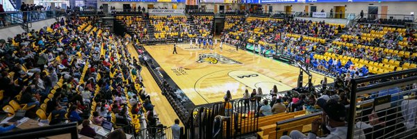 Towson_WBB Profile Banner