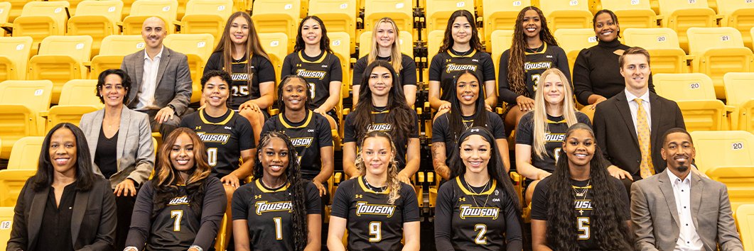Towson_WBB's profile banner image