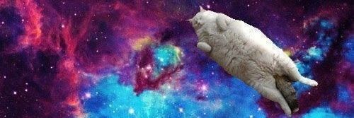 kittyyreloaded's profile banner image
