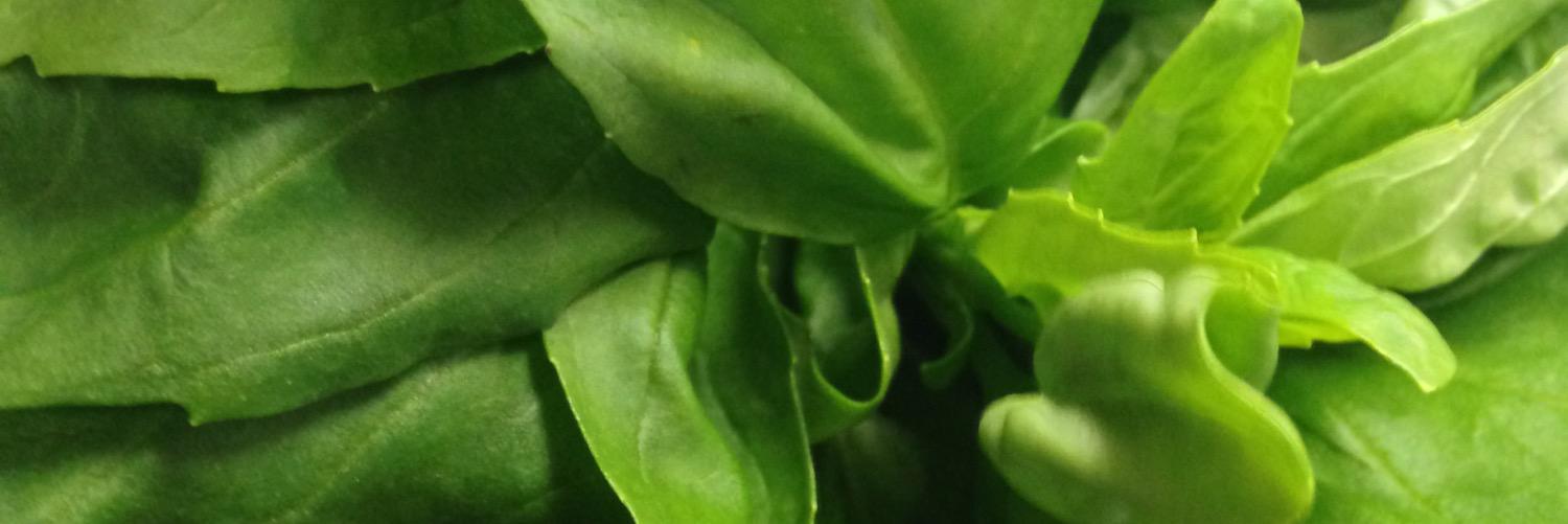 MorelloBistro's profile banner image