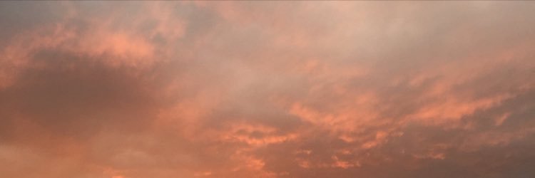 InMyBlood_____'s profile banner image