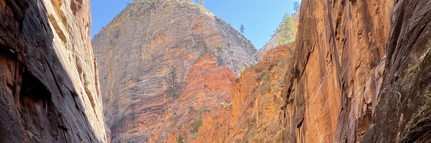 Texassultry's profile banner image