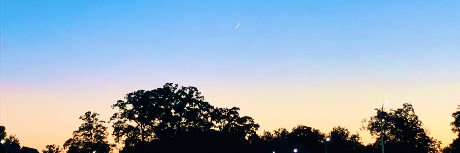 danigamboa1398's profile banner image