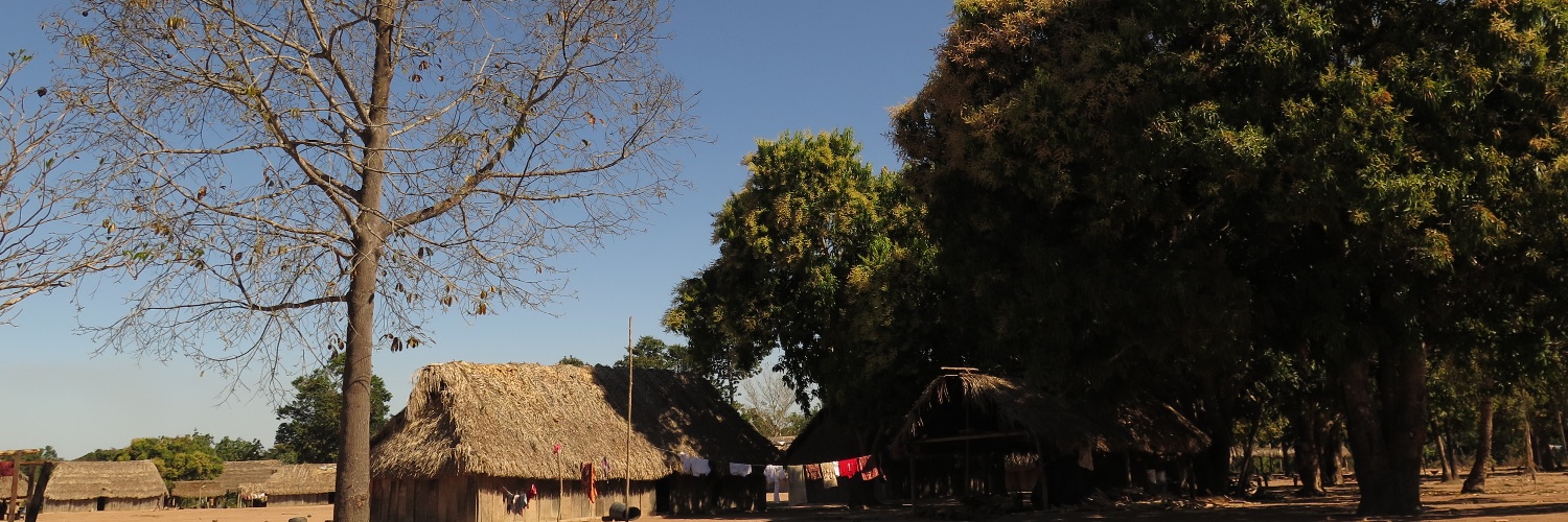 Bernat Bardagil banner