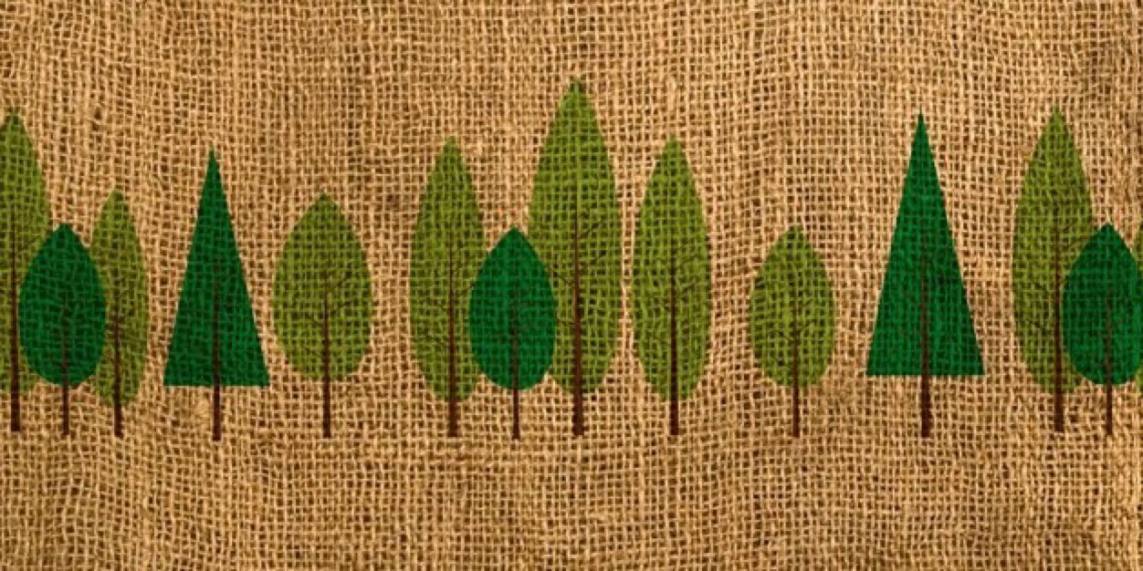 TheForestCoffee's profile banner image