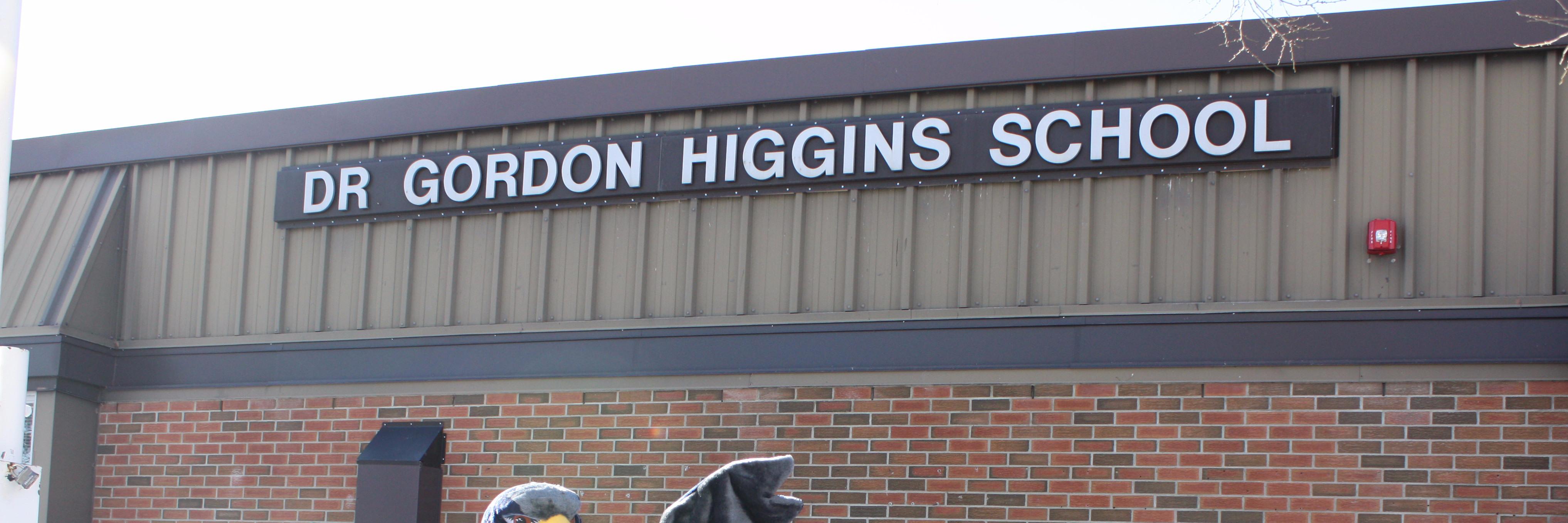 Higgins_Hawks's profile banner image