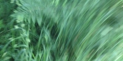 gayalien's profile banner image