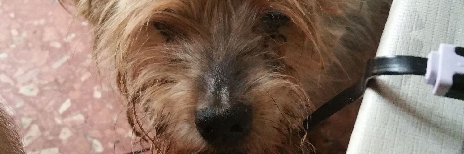 Ennacua's profile banner image