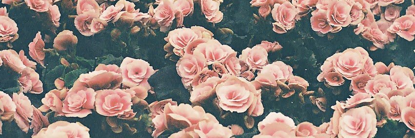 gabygomesm's profile banner image