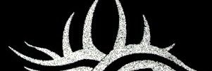 SebCold's profile banner image
