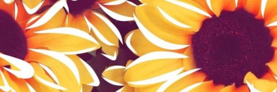 lexdav2's profile banner image
