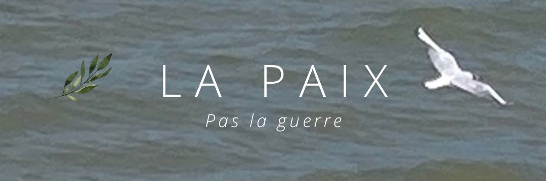 imazuy's profile banner image