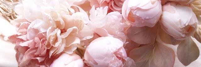 samaanthaaxo's profile banner image