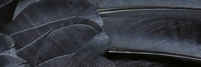 RyanBurris15's profile banner image