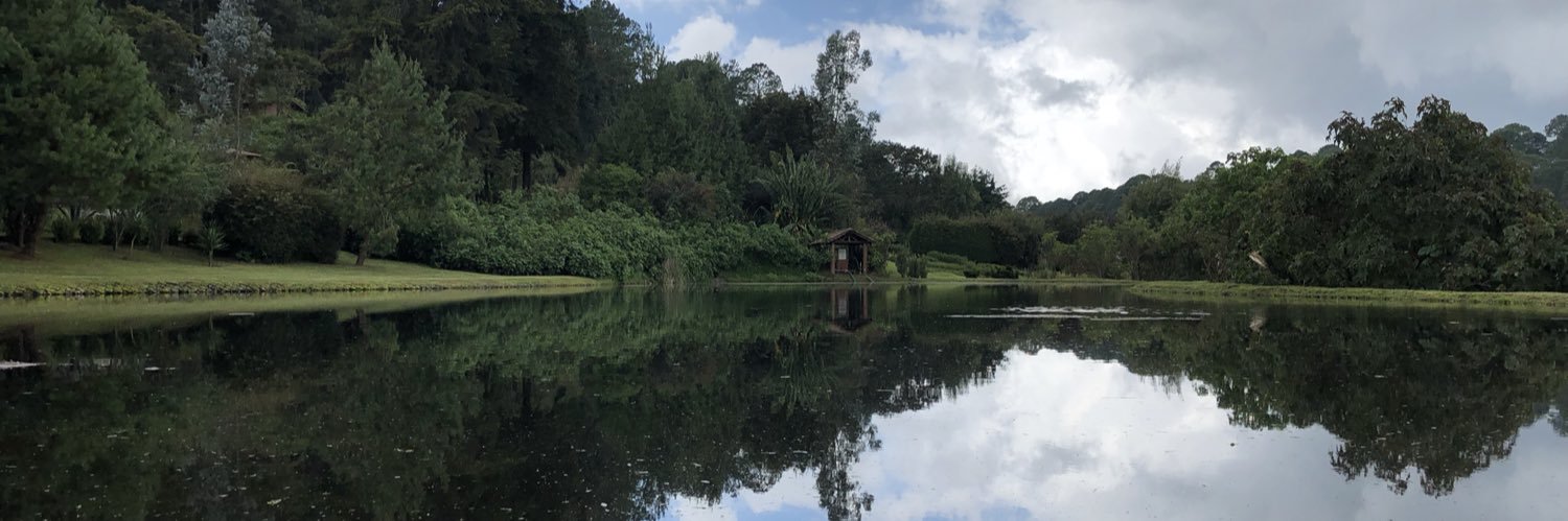 Lorena Macías-Navarro banner
