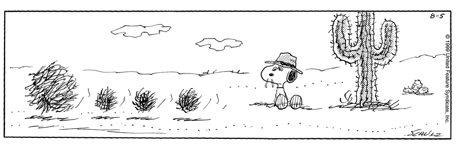 _phunkee's profile banner image