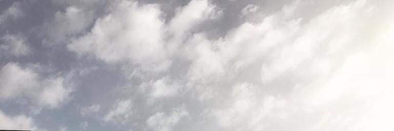 coke_2016's profile banner image