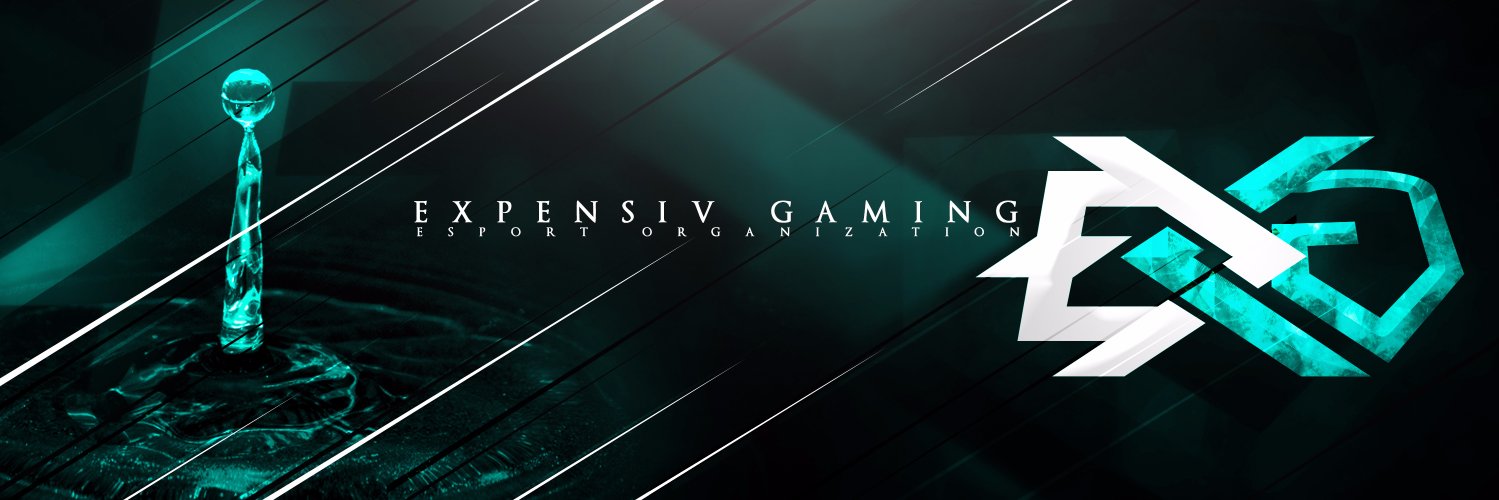 Expensiv Gaming ™ banner