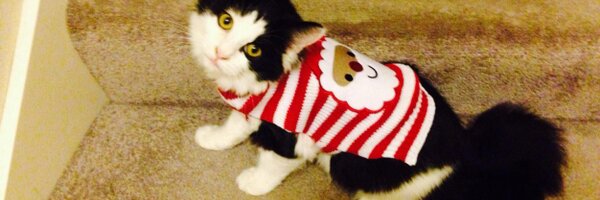 MandaMelanie Profile Banner