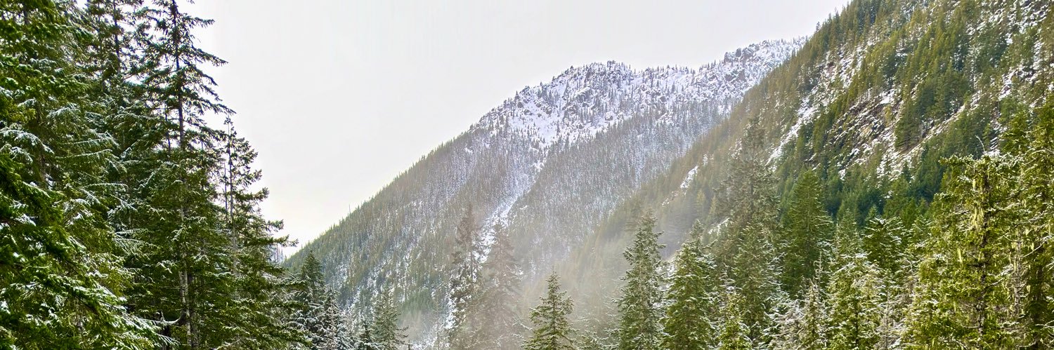 RealDougDebug's profile banner image