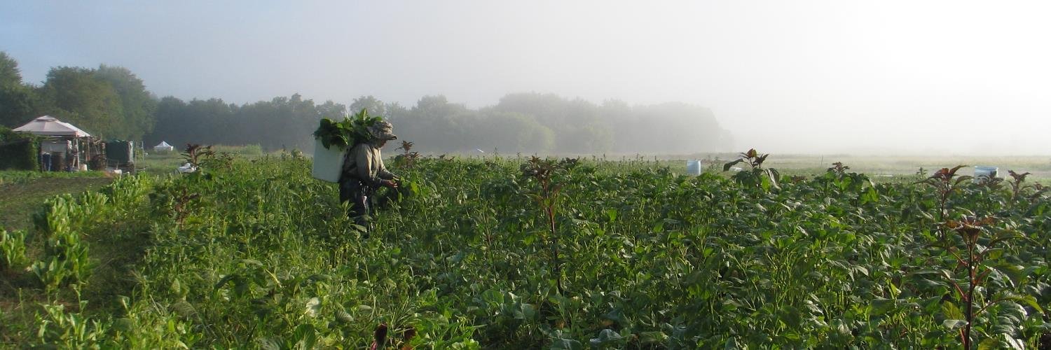 WorldFarmersInc's profile banner image