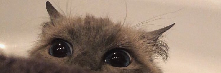 _harrieth's profile banner image