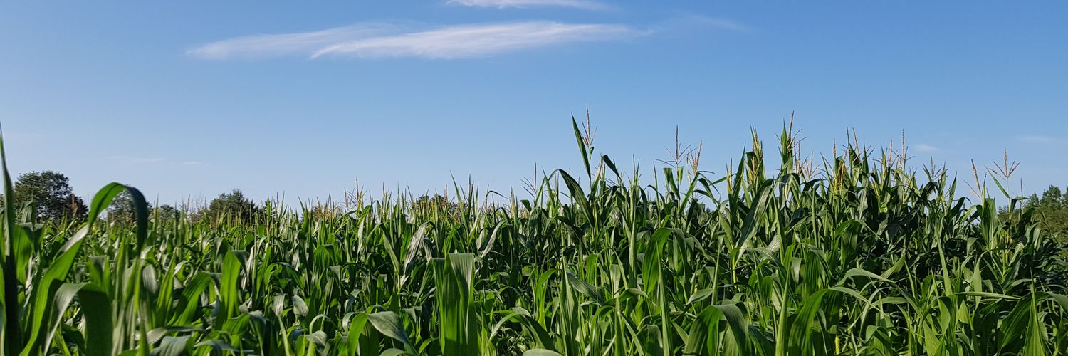 Christine Grandy banner