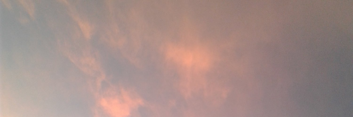 arayah cheyanne banner