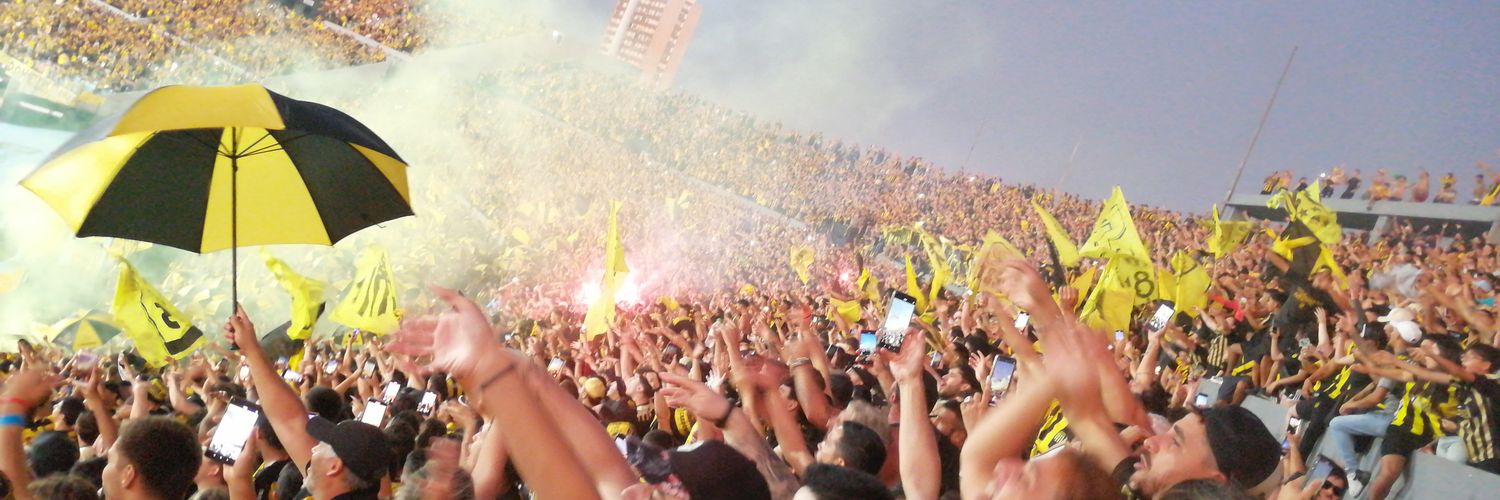 VeroWols's profile banner image