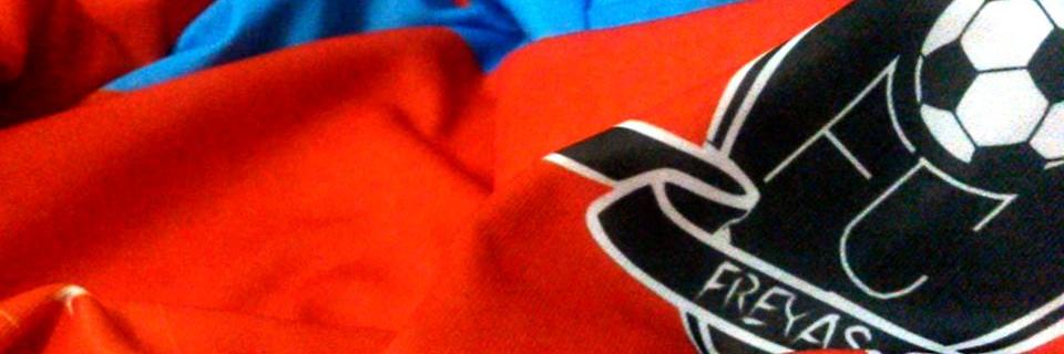 FreyasFc's profile banner image