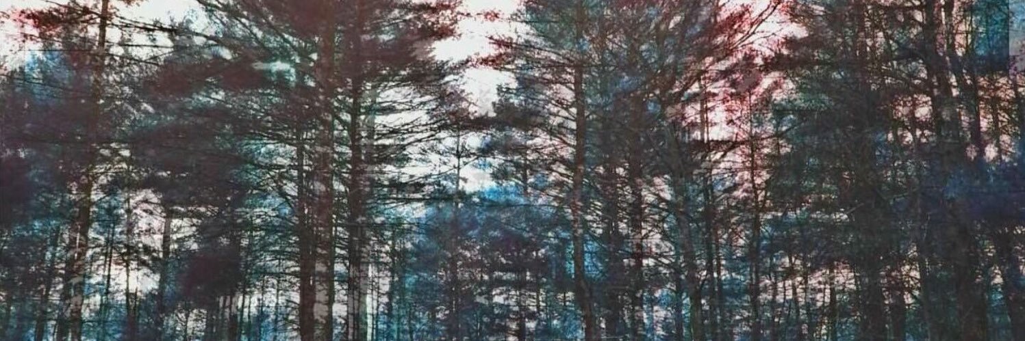 PATTLYFE's profile banner image