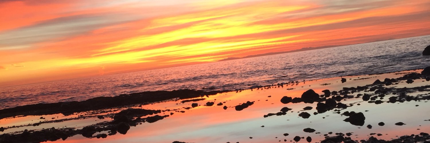 Joe Guinchard banner