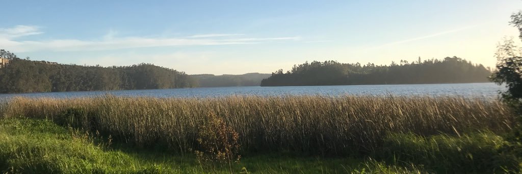 donmrxxx's profile banner image