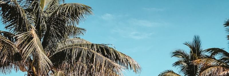 doslyf's profile banner image