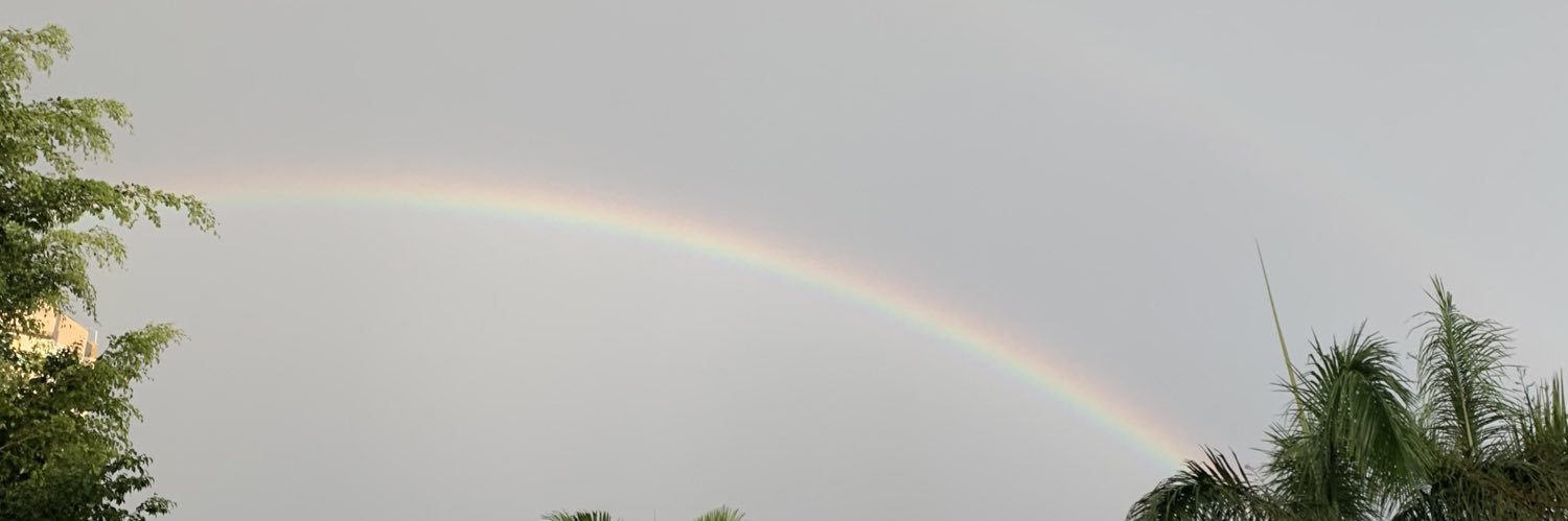luiirochaa's profile banner image