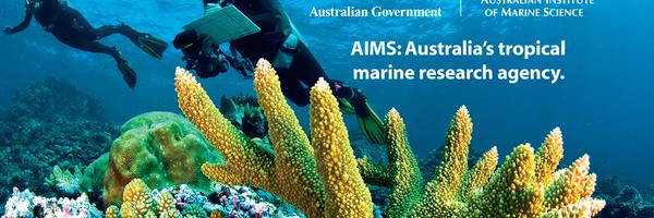 AIMS_CEO Profile Banner