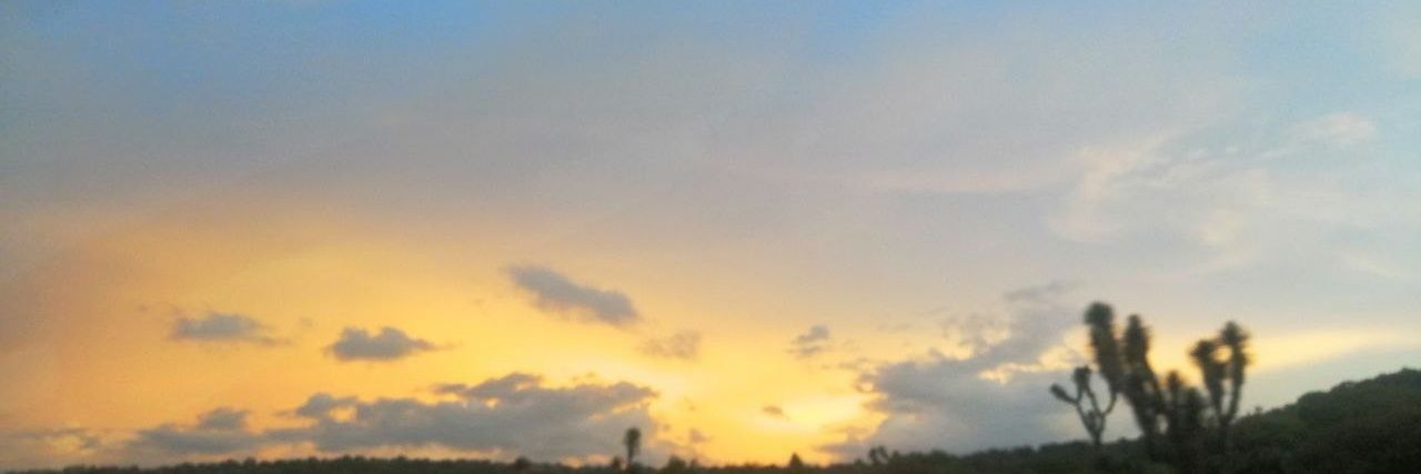 IvannaLimon's profile banner image