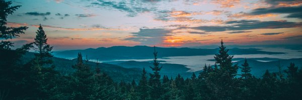 zerogravitybeer Profile Banner