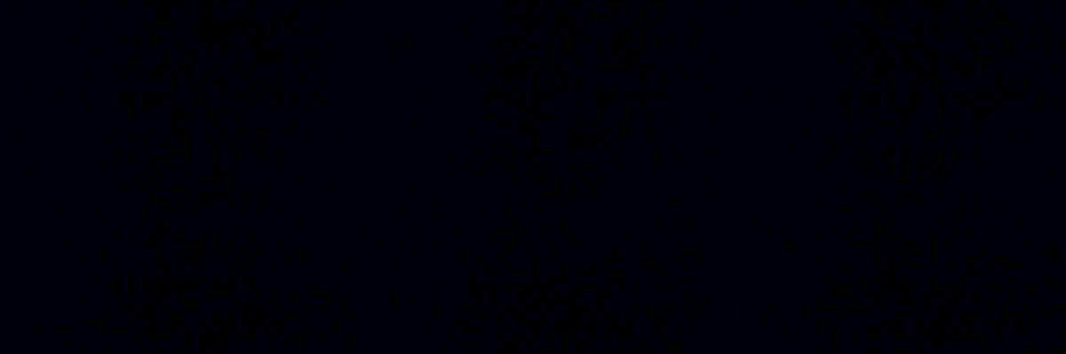 cecilia_zilli's profile banner image