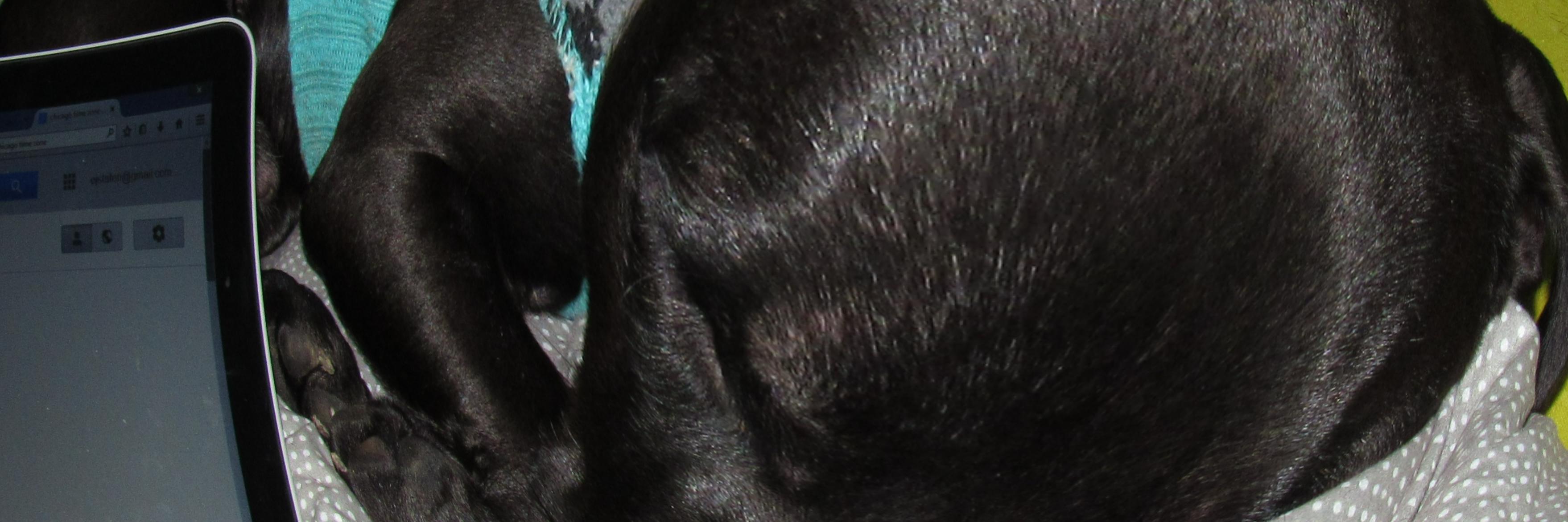 Uniquathebrace's profile banner image