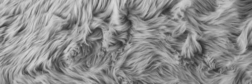 chaniahcane_'s profile banner image