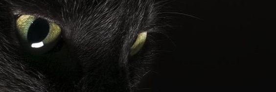 Andres Andrew Música banner