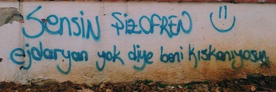 Mangolusoydangil the Akademik Bariyer 🏳️‍🌈🇵🇸 banner