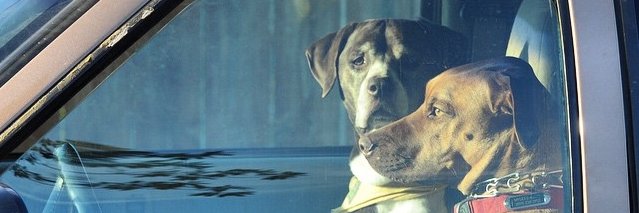 jedref's profile banner image