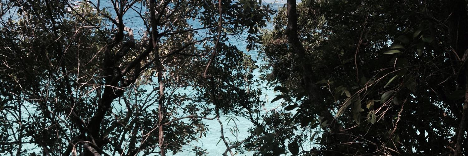 Elijah_BC's profile banner image