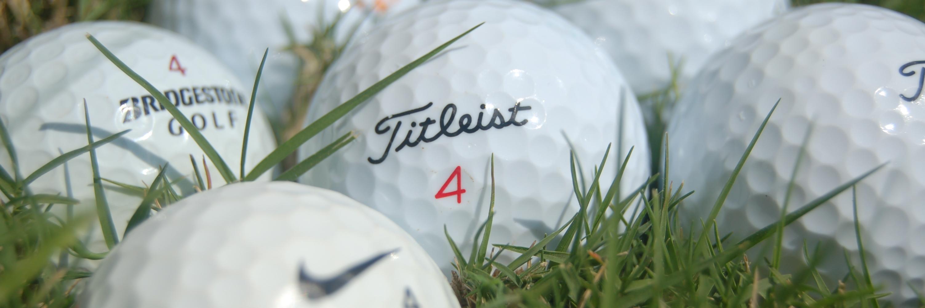 golfvillaFL's profile banner image